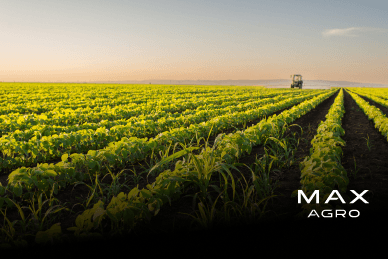 Discusión de rindes norteamericanos calientan los precios - Max Agro 24-08-2026